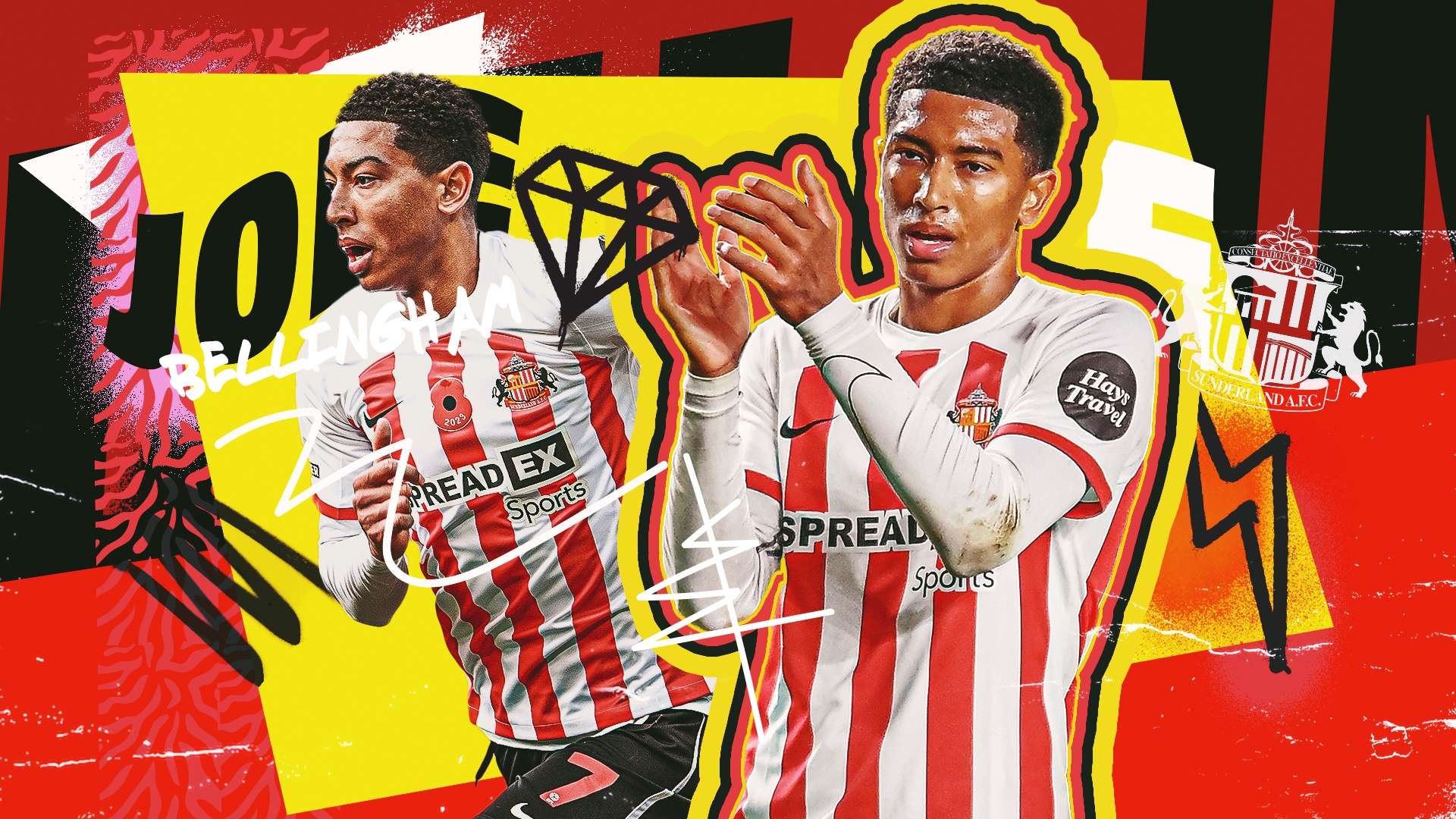 感和出众的 感和出众的