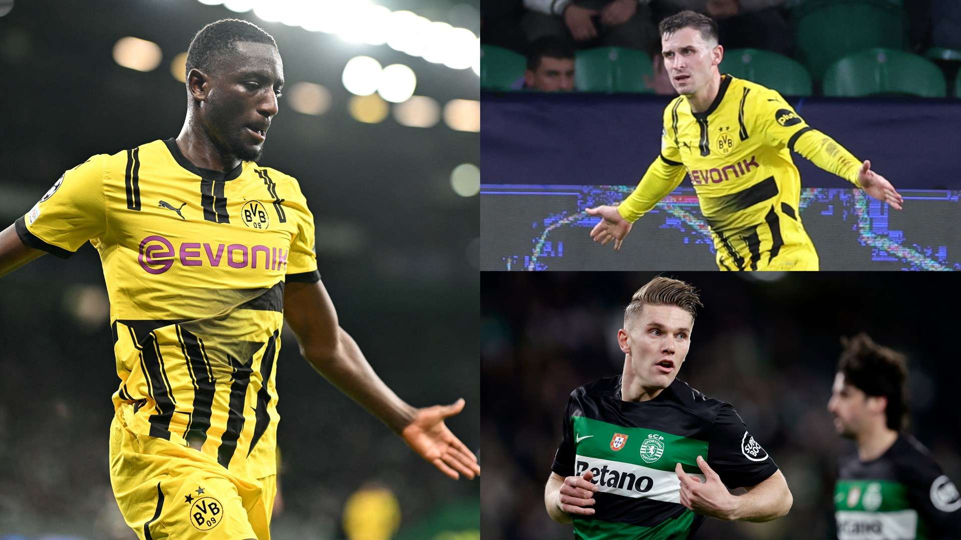 却带来了如 却带来了如